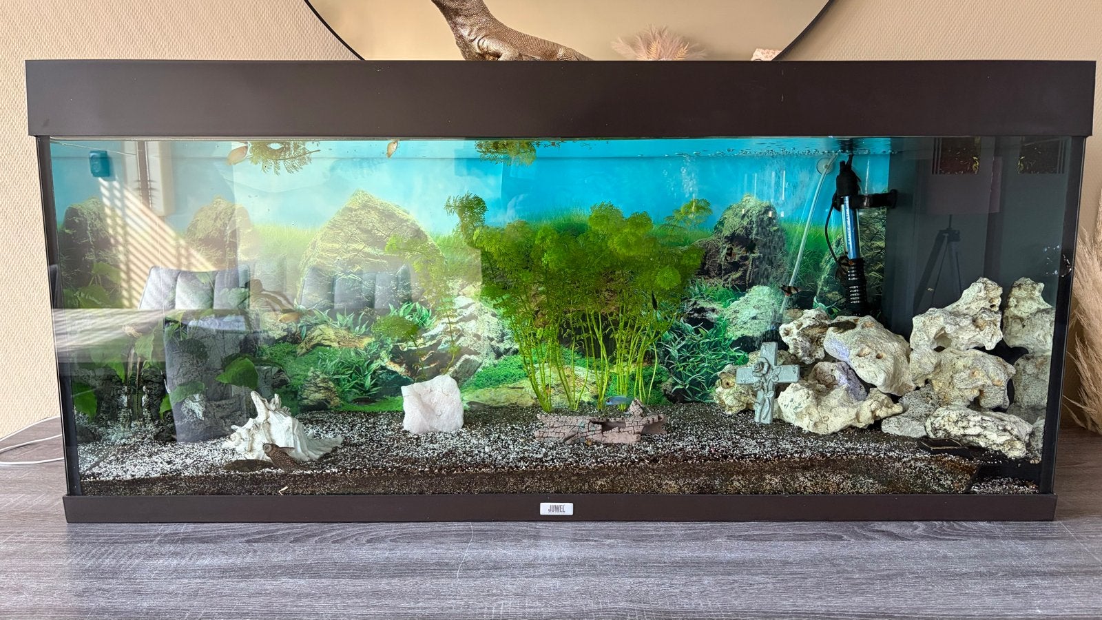 Aquarium, Dieren en Toebehoren, Ophalen of Verzenden, Zo goed als nieuw, Leeg aquarium