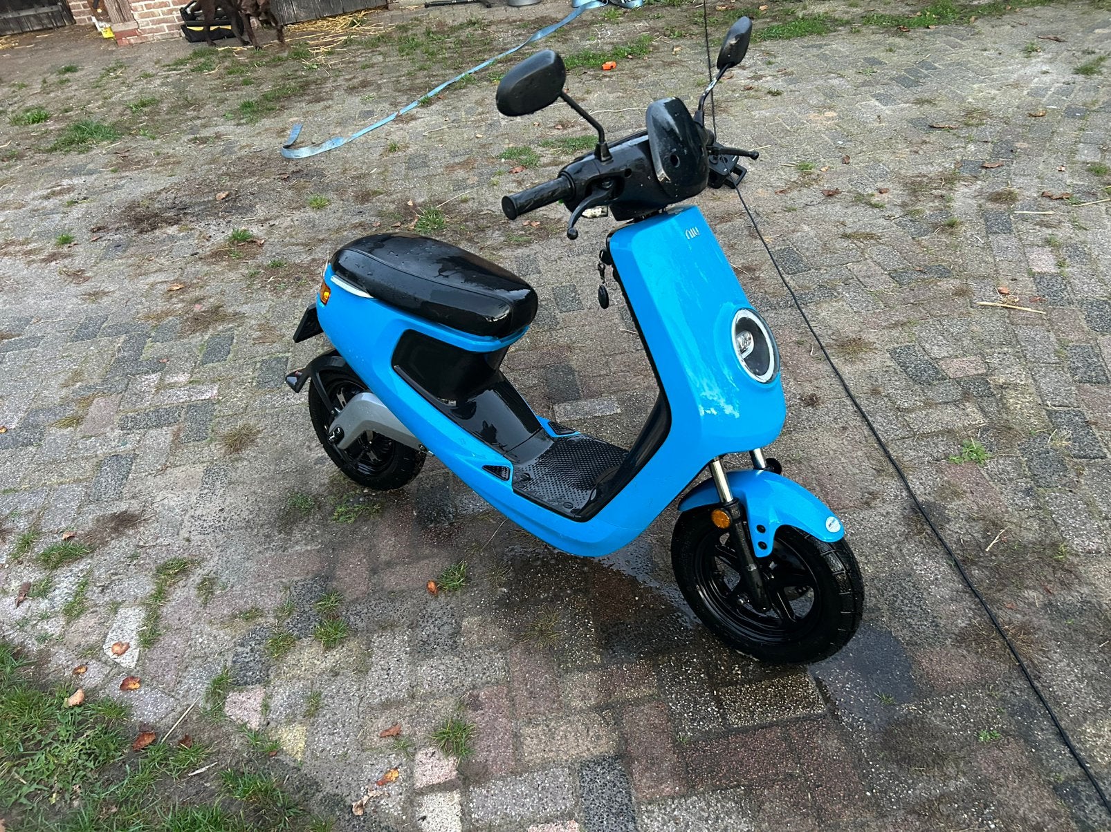 Niu elecktrische snorscooter, Fietsen en Brommers, Ophalen, Overige modellen, Elektrisch, Zo goed als nieuw