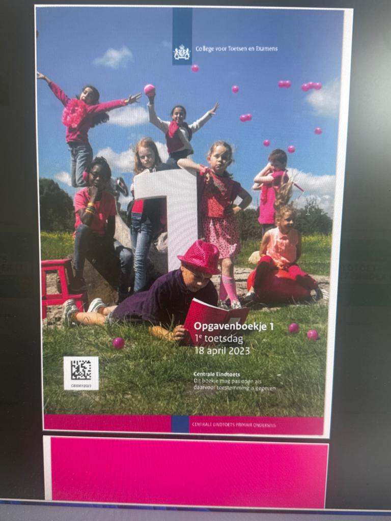 Oefentoets groep 8 opgaveboek 1 en 2 digitaal, Ophalen, Gelezen, Overige niveaus, Overige vakken