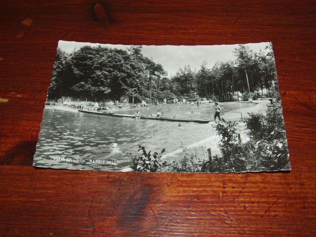 765- VAKANTIEVERBLIJF "RABBIT HILL", NIEUW MILLINGEN, Verzamelen, Ansichtkaarten | Nederland, Verzenden, 1960 tot 1980, Gelopen