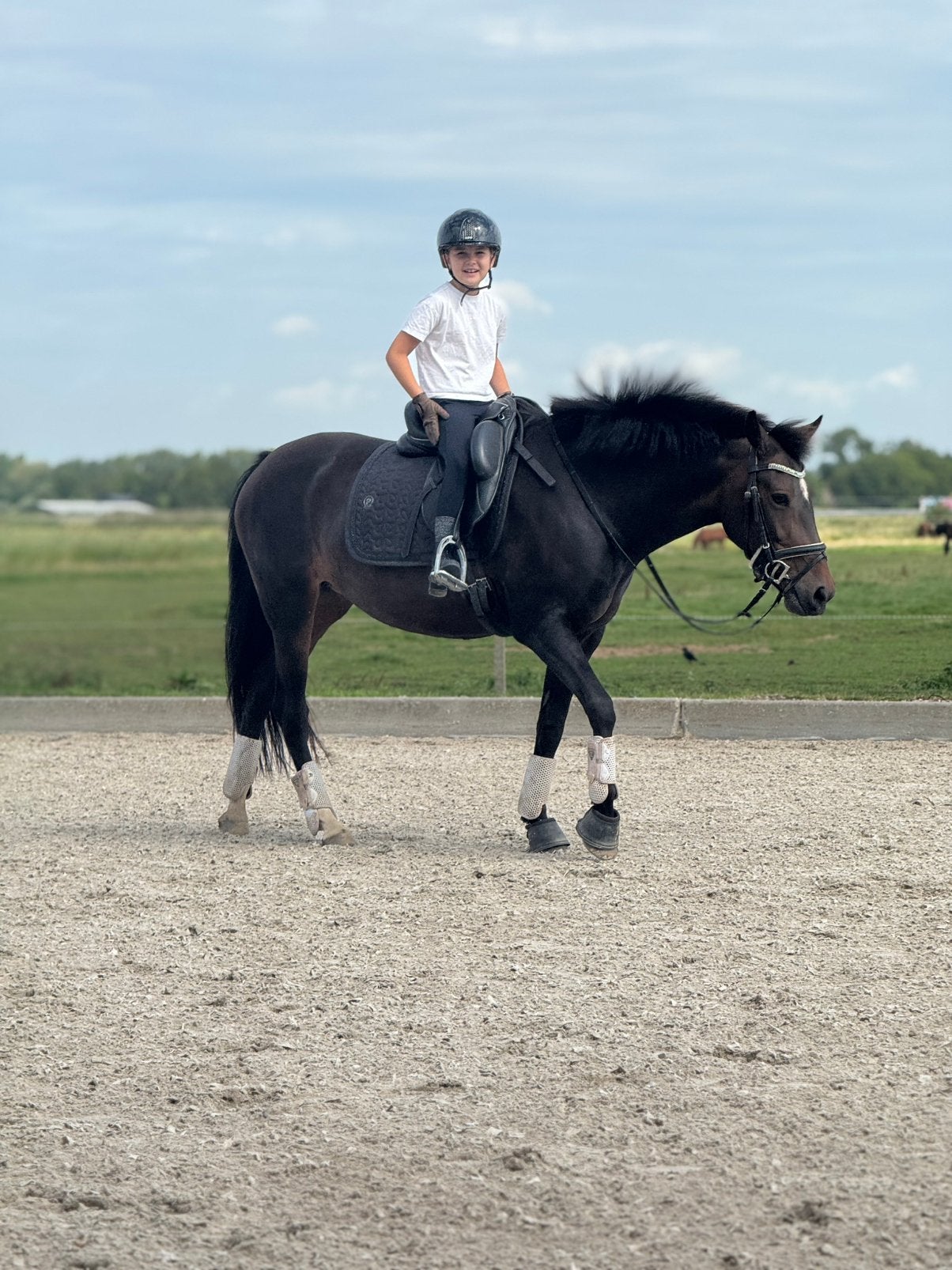Lieve New Forest merrie | 8 jaar | 146,5 cm D pony, Dieren en Toebehoren, Merrie, Minder dan 160 cm, B, 7 tot 10 jaar