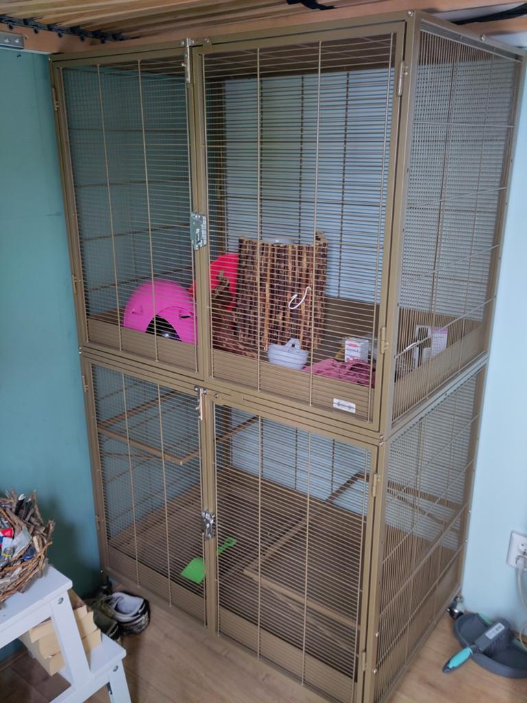 Keddoc Animal home. Mooie grote kooi voor tamme ratjes, Dieren en Toebehoren, Ophalen, Gebruikt, 90 cm of meer, 75 tot 110 cm