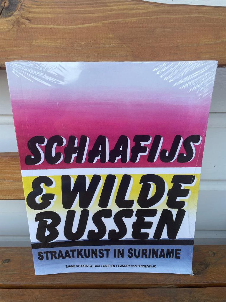 Chandra van Binnendijk - Schaafijs en wilde bussen NIEUW, Ophalen of Verzenden, Nieuw, Azië