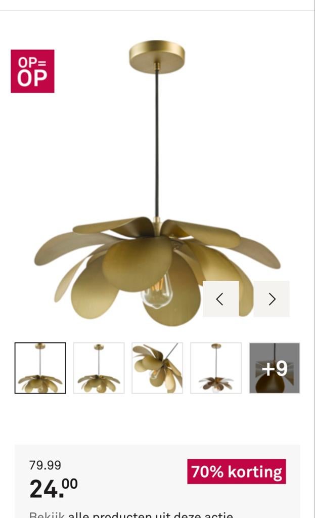 Hanglamp goudkleurig bloem design - Karwei, Huis en Inrichting, Lampen | Hanglampen, Ophalen, Gebruikt, Metaal, Minder dan 50 cm