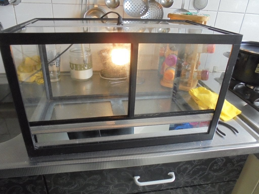 klein terrarium maaten,49x28x28 met licht, Ophalen, Gebruikt