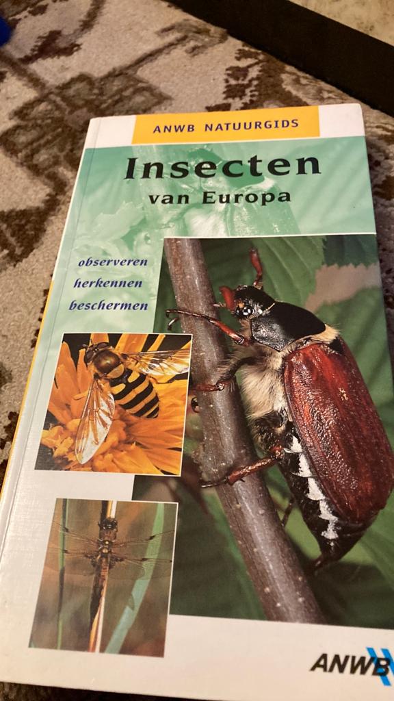 H. Hofmann - Insecten van Europa, Boeken, H. Hofmann, Ophalen of Verzenden, Zo goed als nieuw, Vogels