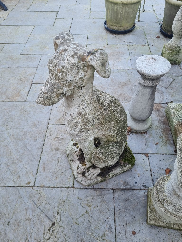 Betonnen tuinbeeld jachthond foto 1 t/m 10, Ophalen, Gebruikt, Belle Vieille Brocante, Jolandamonsieurs@gmail.com