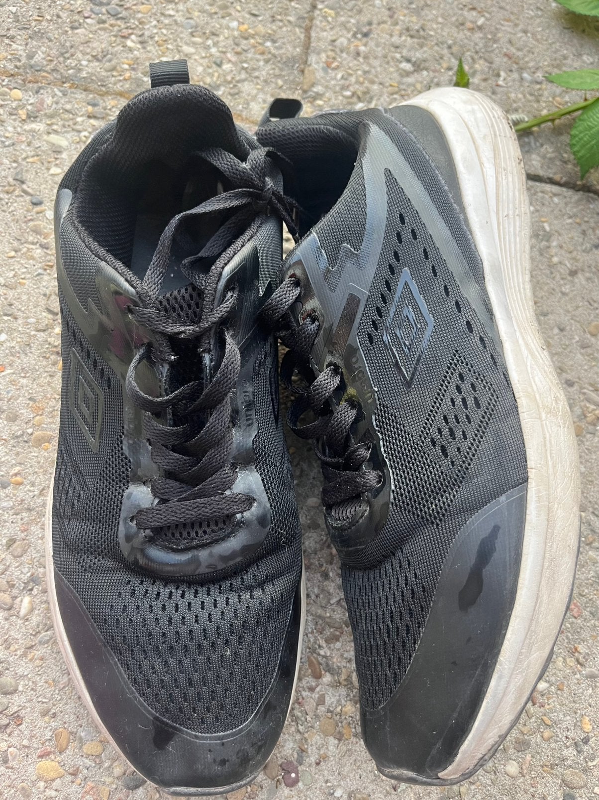 Heren schoenen maat 43, Ophalen of Verzenden, Zo goed als nieuw