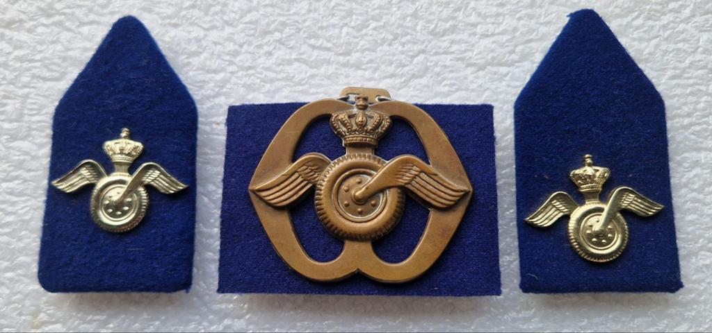 Baret embleem Regiment Aan en
Afvoertroepen, Ophalen of Verzenden, Landmacht, Nederland, Embleem of Badge