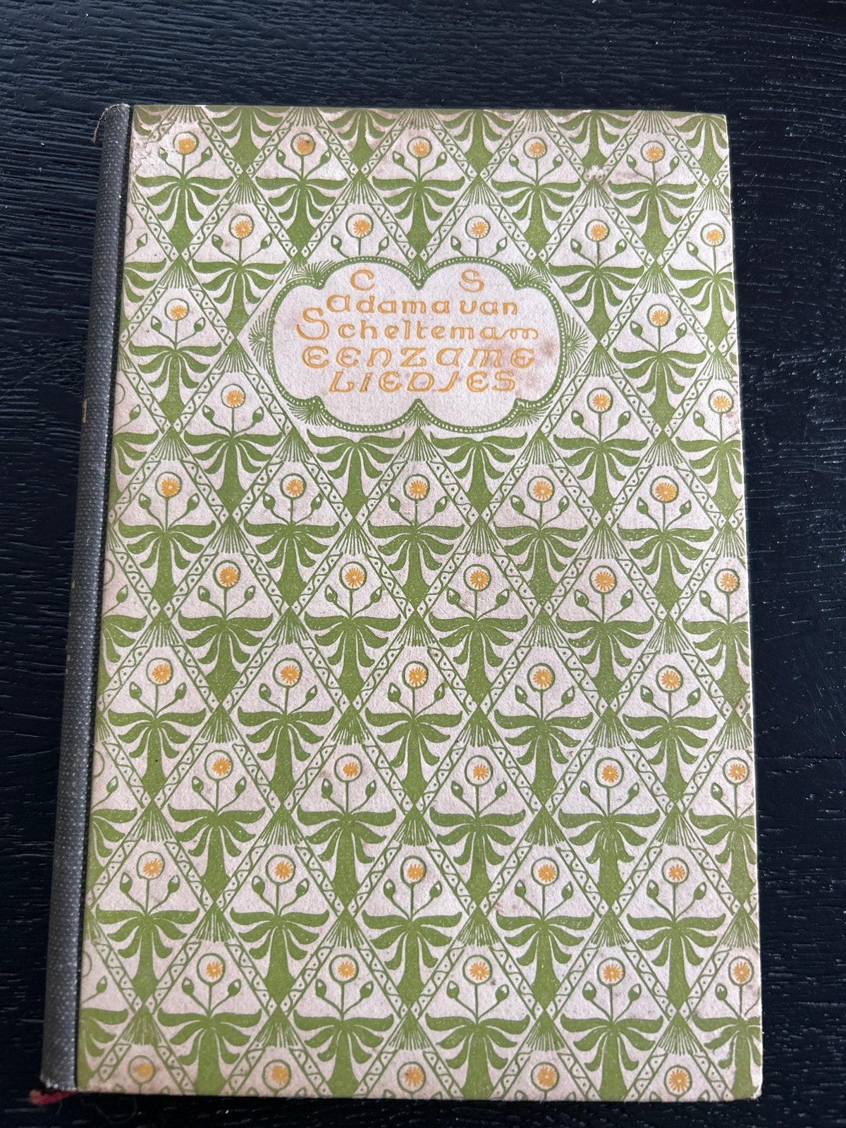 C.S. Adama van Scheltema - Eenzame Liedjes (1918), Boeken, Gedichten en Poëzie, Gelezen, Eén auteur, Ophalen of Verzenden