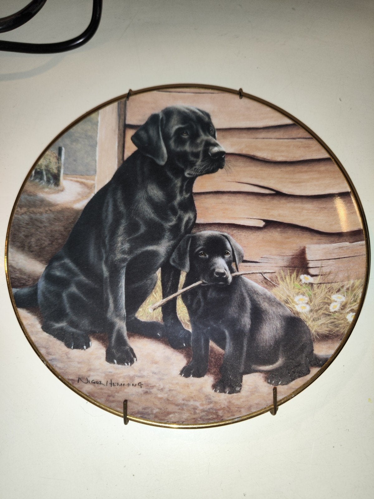 Franklin Mint Sierbord 'Like Father, Like Son' Labrador, Ophalen of Verzenden
