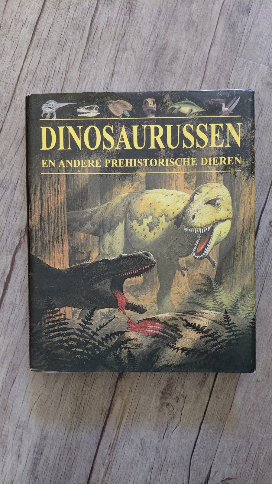 Dinosaurussen en andere prehistorische dieren boek, Ophalen of Verzenden, Gelezen, Overige onderwerpen, Onbekend