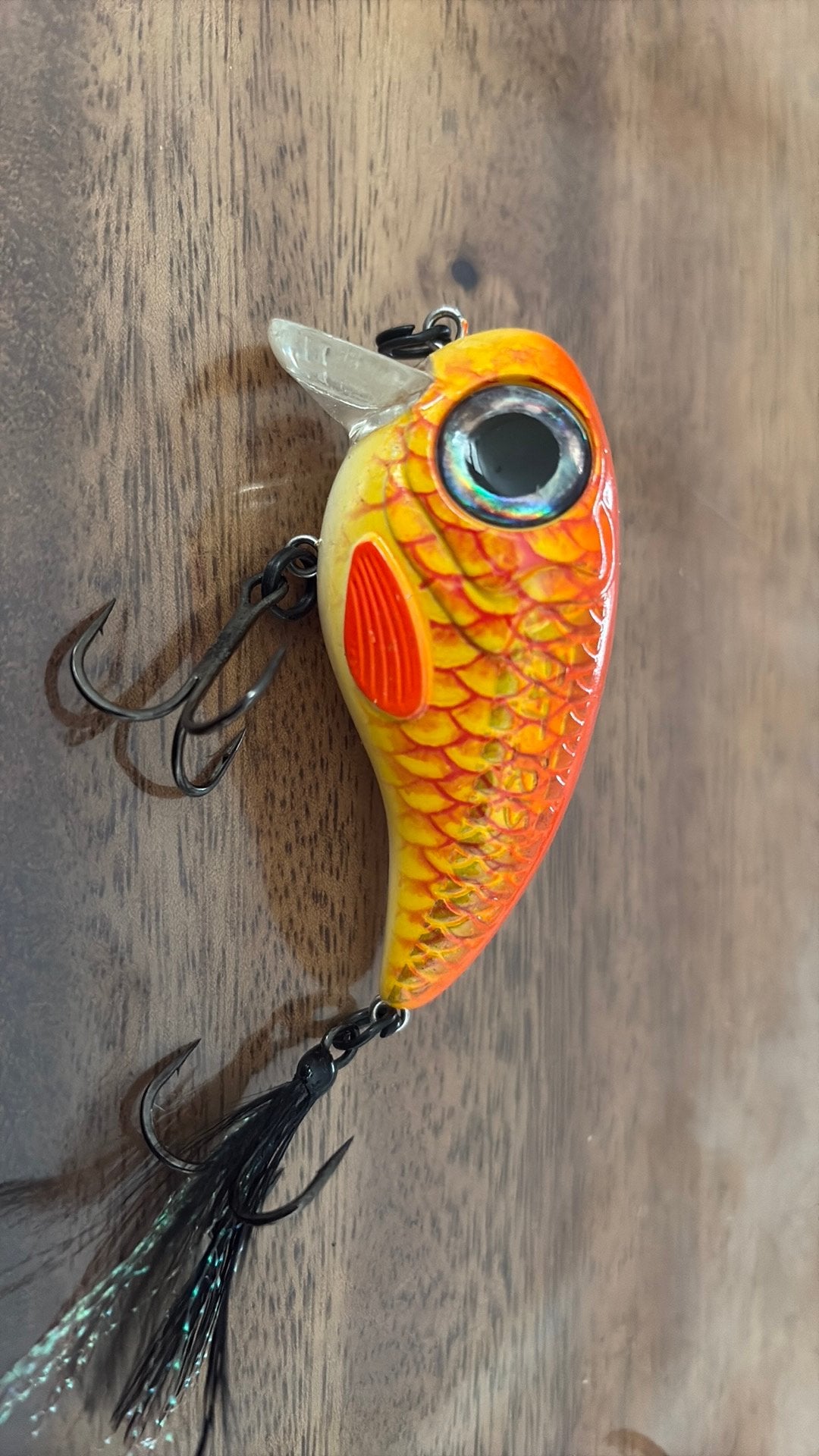 40 gram spro fat iris goldfish, Ophalen of Verzenden, Nieuw, Overige typen