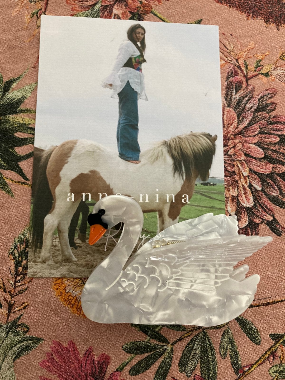 ✨🦢Haarclip haarklem anna nina nieuw zwaan, Sieraden, Tassen en Uiterlijk, Ophalen of Verzenden, Nieuw, Haarspeld