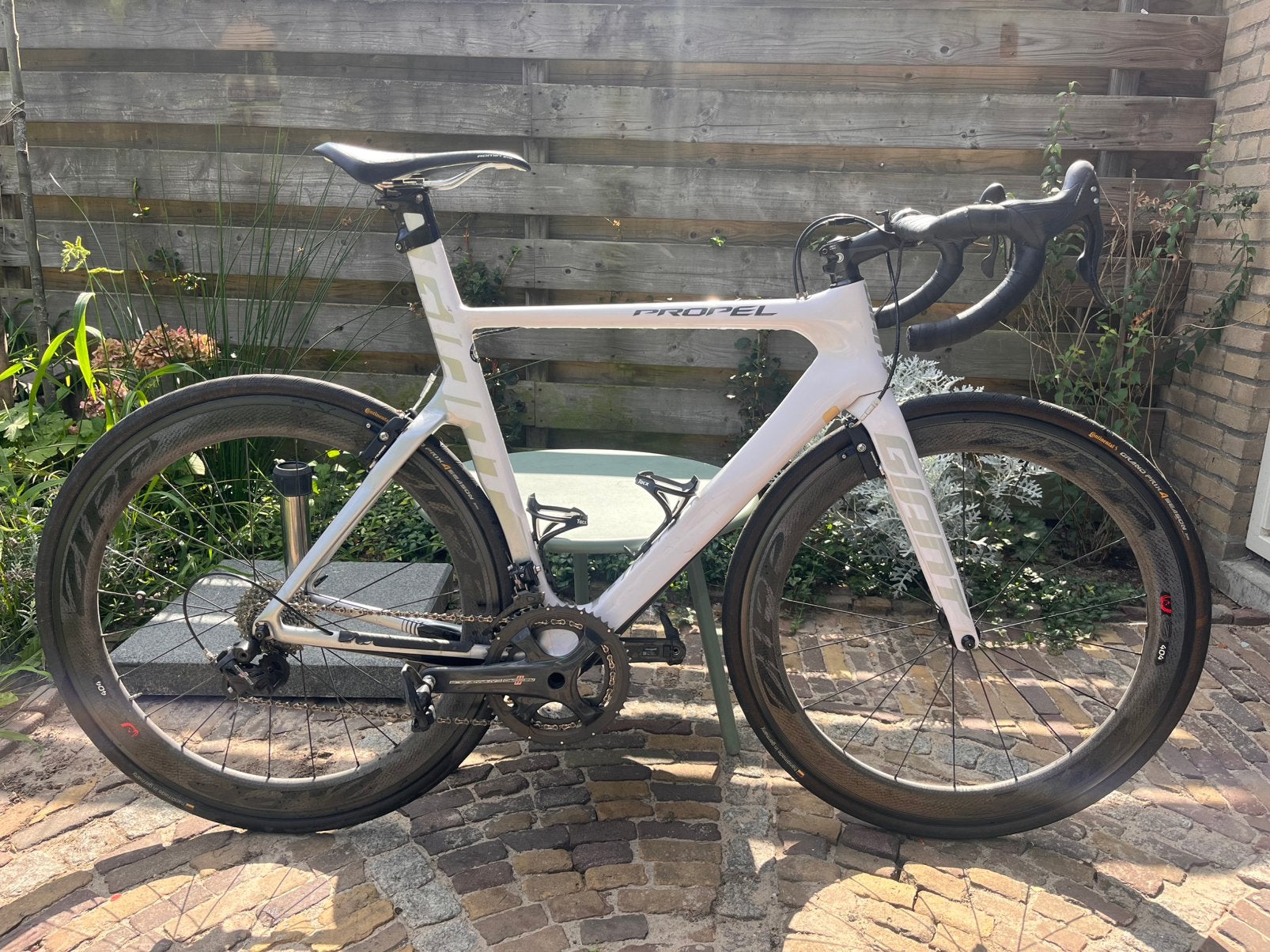 Giant propel advanced SL medium, Ophalen, Gebruikt, Carbon, Velgrem