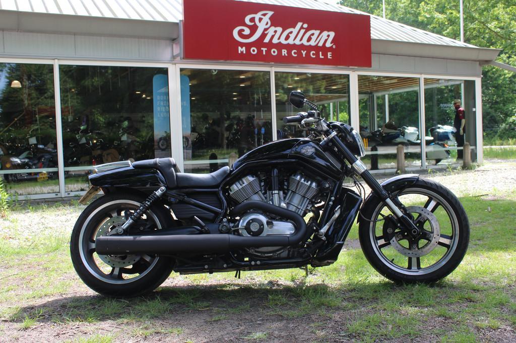Harley-Davidson VRSC V-Rod VRSCF V-rod Muscle, Motoren, Motoren | Harley-Davidson, Chopper, Bedrijf, Meer dan 35 kW, 1247 cc