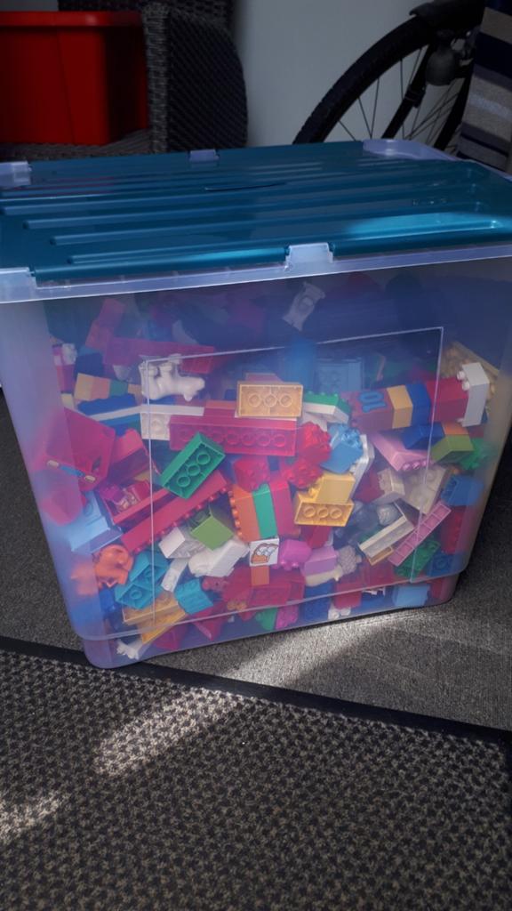 Duplo Lego.Bouwplaten Beestjes enz., Ophalen, Zo goed als nieuw, Duplo