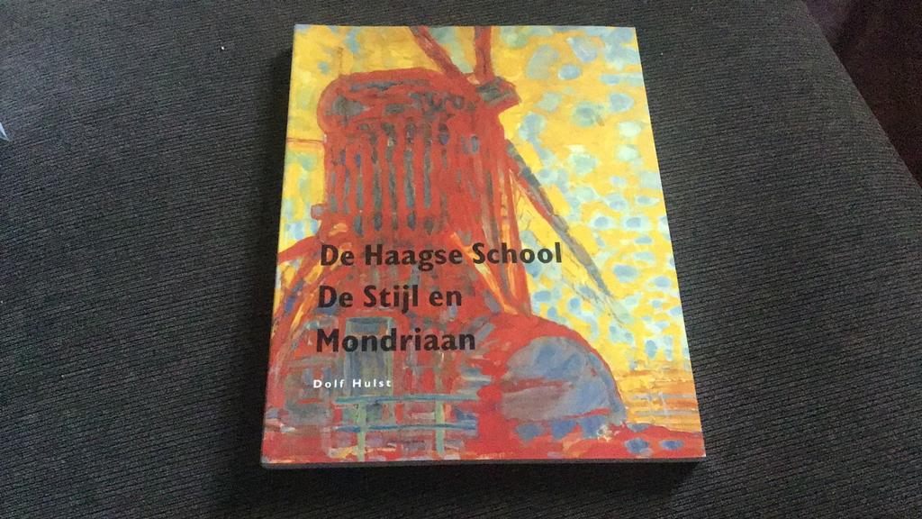 De Haagse School - De stijl en Mondriaan, Ophalen of Verzenden, Zo goed als nieuw