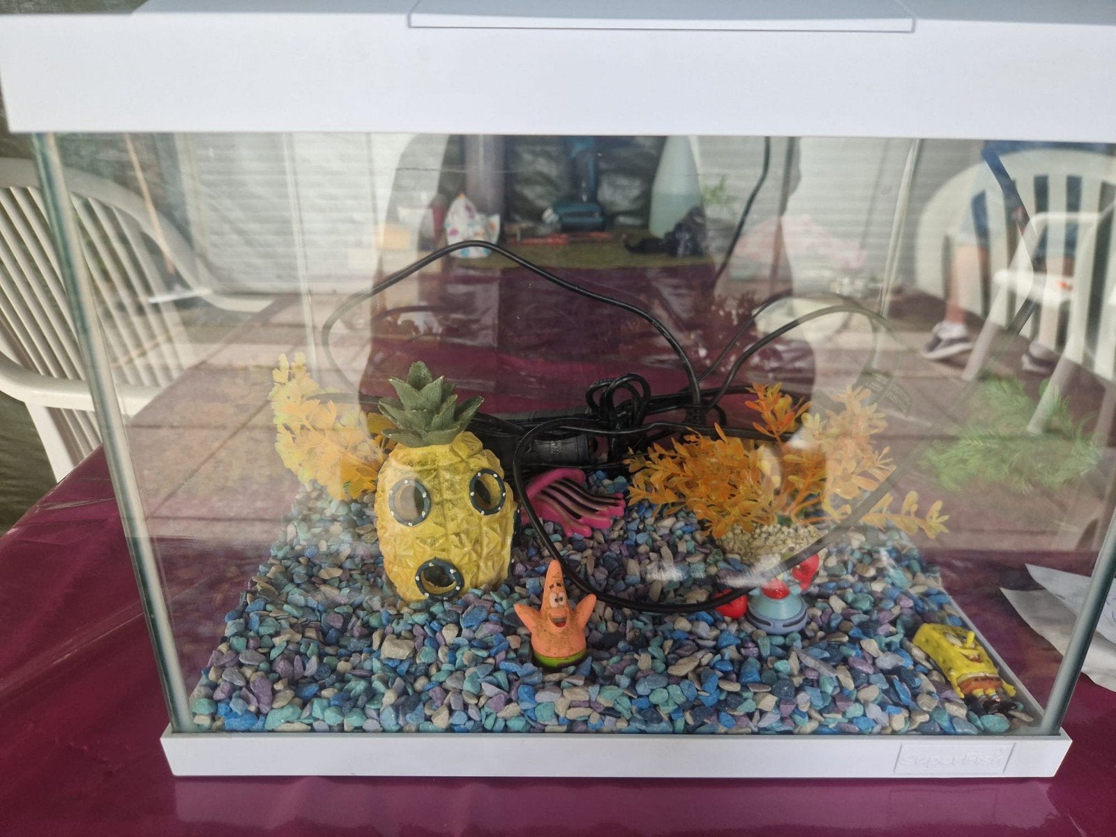 Mooi compleet aquarium!, Dieren en Toebehoren, Vissen | Aquaria en Toebehoren, Ophalen