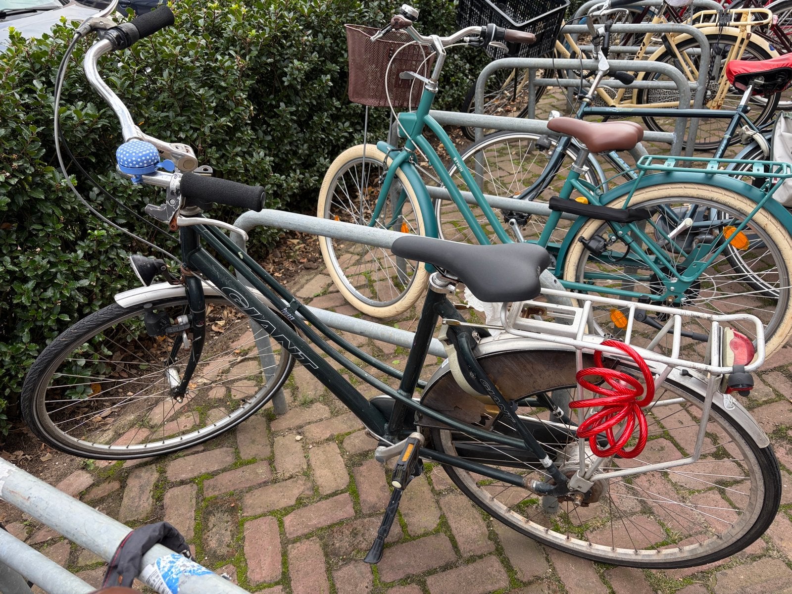 Giant fiets (bike) te koop, 53 tot 56 cm, Ophalen, Velgrem, (Extra) lage instap
