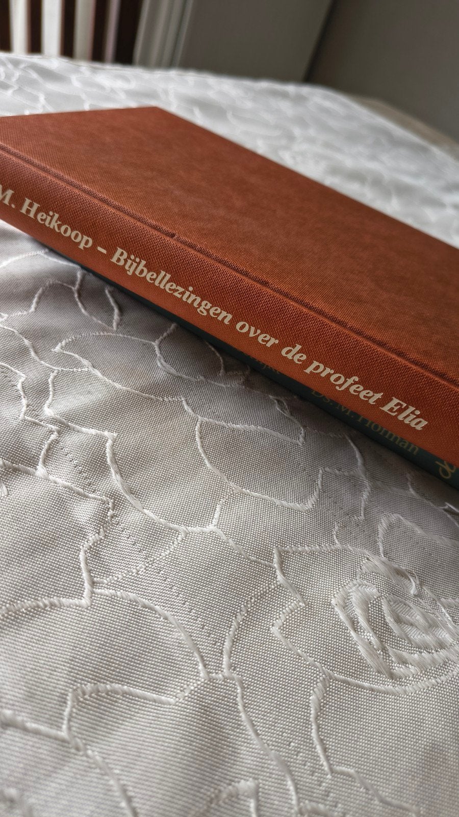 Bijbellezingen over de profeet Elia. Ds M Heikoop, Boeken, Gelezen, Christendom | Protestants, Ophalen of Verzenden, Ds M Heikoop