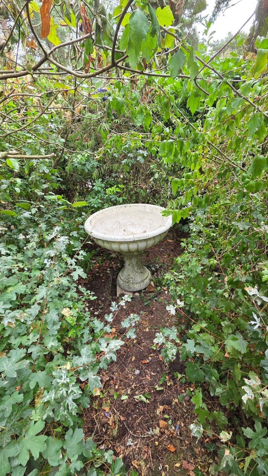bloempot groot en van steen 80cm, Tuin en Terras, Bloembakken en Plantenbakken, Ophalen, Steen, Gebruikt, Rond