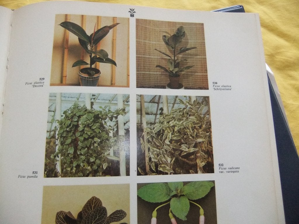 2000 tuin/kas/kamerplanten boek, Overige onderwerpen, Geschikt voor kinderen, Ophalen, Onbekend
