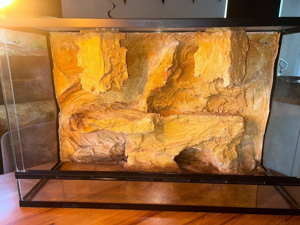 Terrarium 80x40x50, Dieren en Toebehoren, Ophalen, Gebruikt, Terrarium of Paludarium