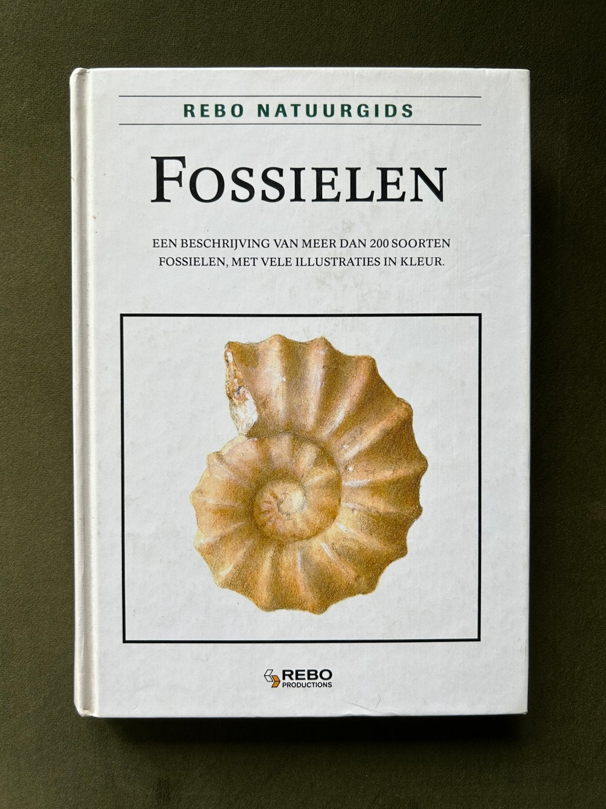 Rebo natuurgids fossielen - Prokop, Boeken, Ophalen of Verzenden, Zo goed als nieuw, Prokop