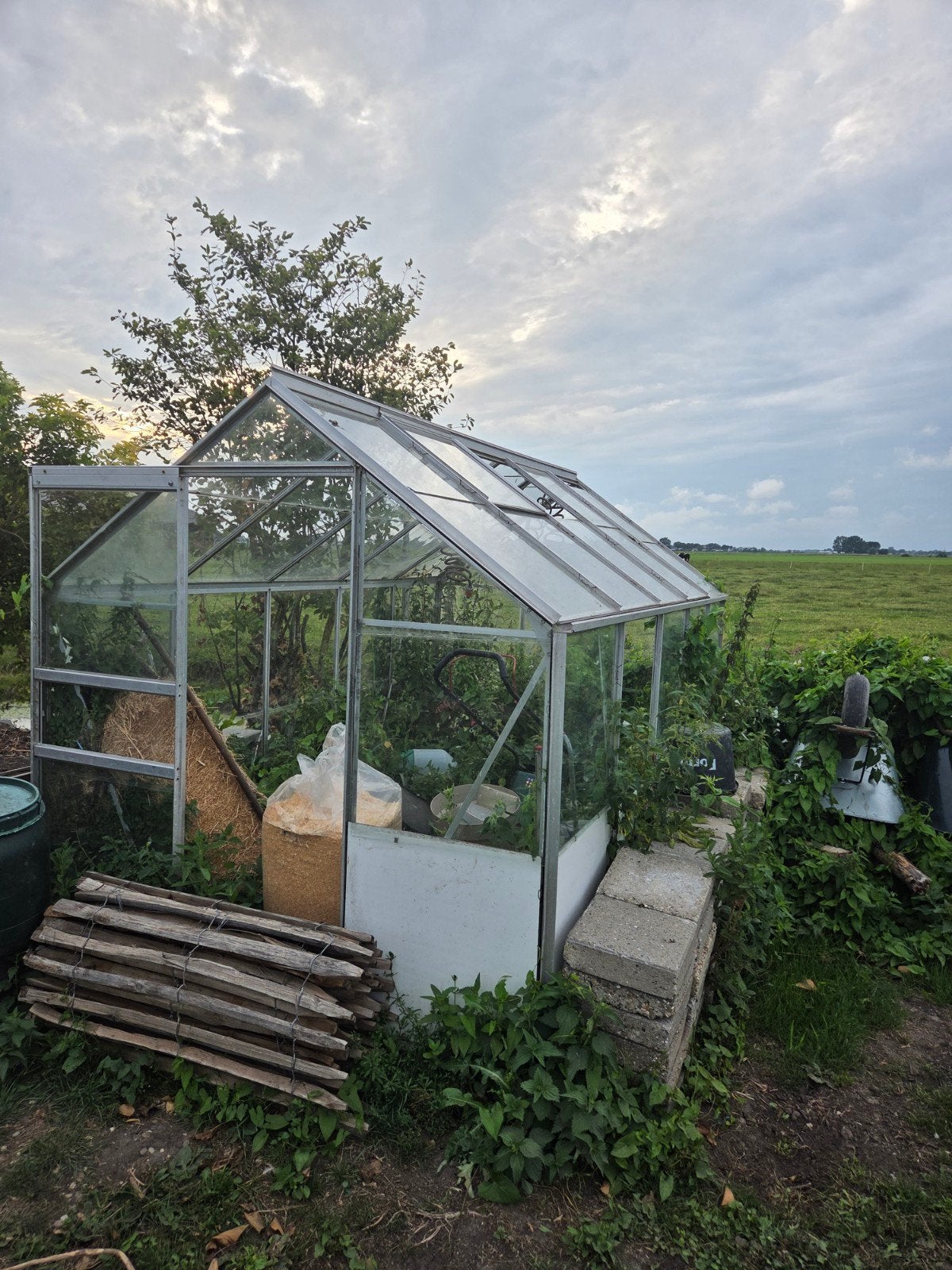 Glazen tuinkas, Tuin en Terras, Kassen, Ophalen, Glas, Gebruikt, Aluminium