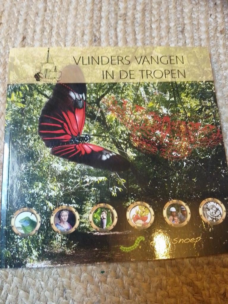 Vlinders Vangen in de Tropen - Educatief Boek, Boeken, Overige Boeken, Ophalen of Verzenden