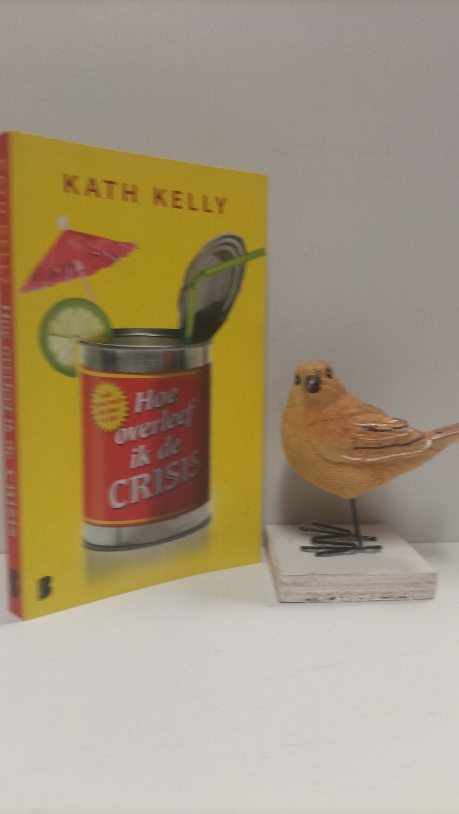 Kelly, Kath; Hoe overleef ik de crisis, Boeken, Ophalen of Verzenden, Gelezen, Overige onderwerpen