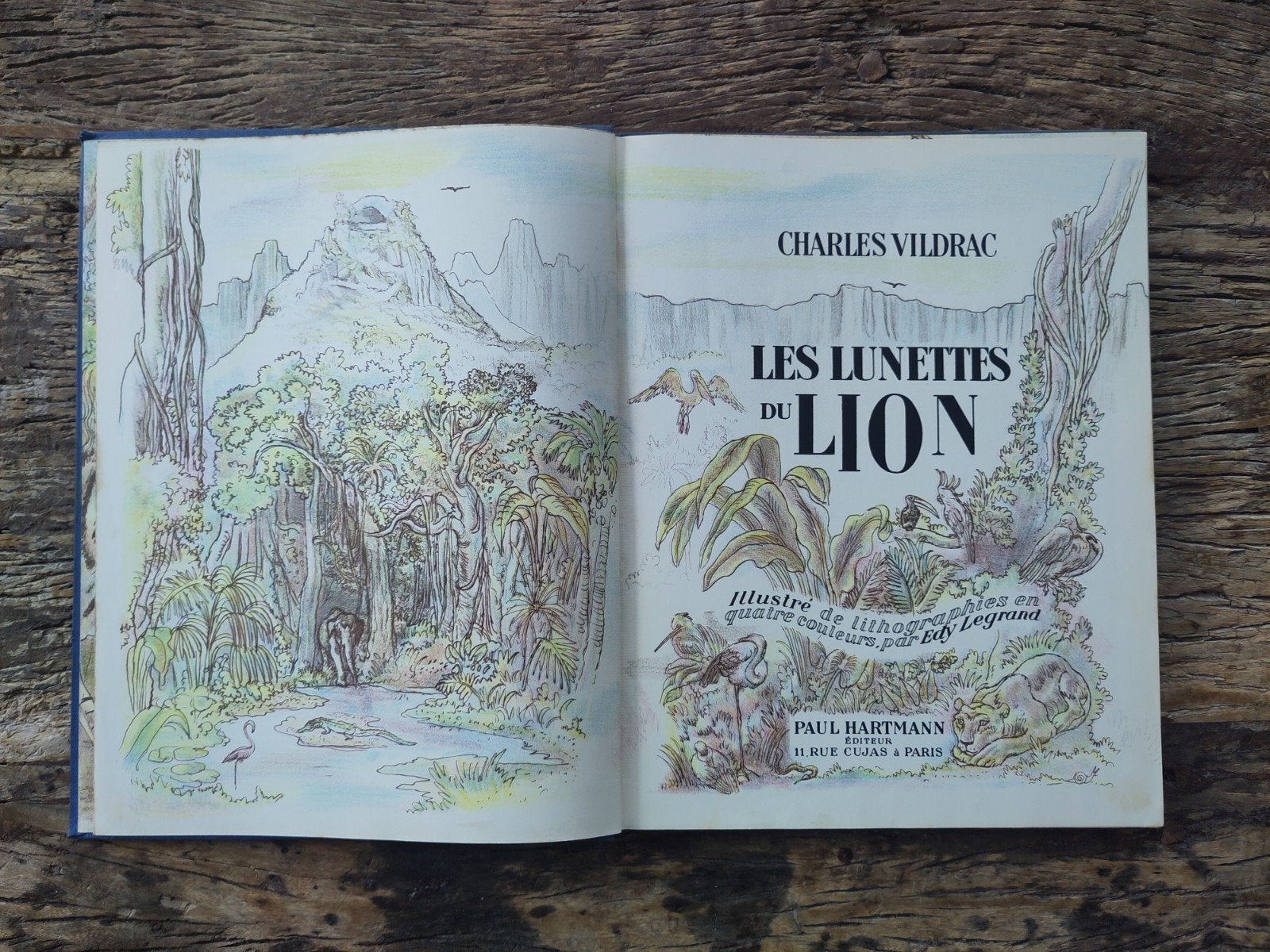 Boek Les Lunettes du Lion - Charles Vildrac, Ophalen of Verzenden, Gelezen, Charles Vildrac, Prentenboek