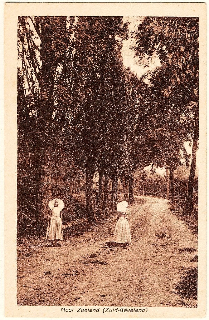 Zuid-beveland (z) mooi Zeeland, ongelopen, uitgave schaefer, Verzenden, 1940 tot 1960, Ongelopen, Zeeland