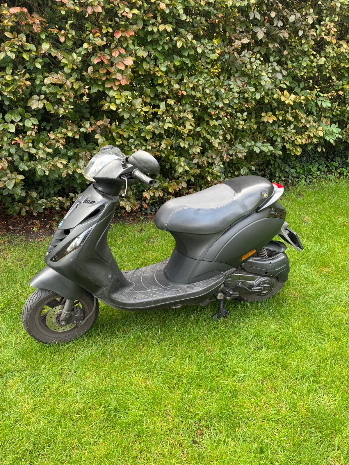Foto 3 van Piggio zip brom 2017