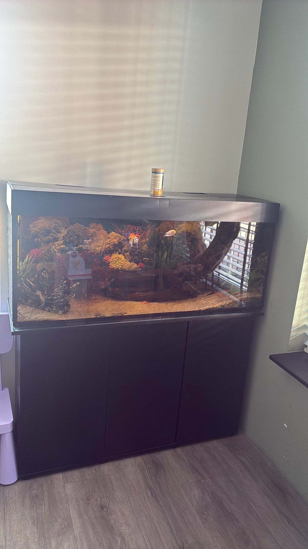 ompleet aquarium 120 cm met meubel, JBL buitenfilter, vissen, Vis