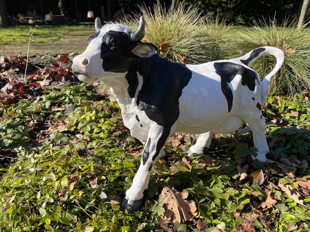 Kalf, koe, boerderij, gazon, tuin, boerderij, 50 cm, Tuin en Terras, Ophalen, Nieuw, Kunststof, Dierenbeeld