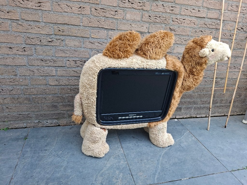 Hannspree Kameel TV - Goed werkende 43 cm LCD TV, Ophalen, Philips, Gebruikt, 50 Hz