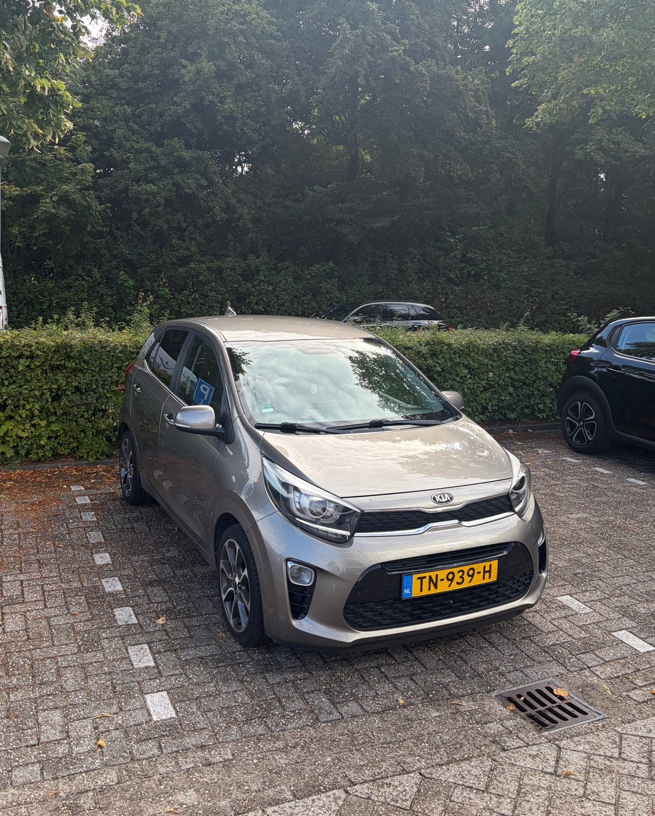 Kia Picanto - 2018, Voorwielaandrijving, Navigatiesysteem, 4 stoelen, Bruin