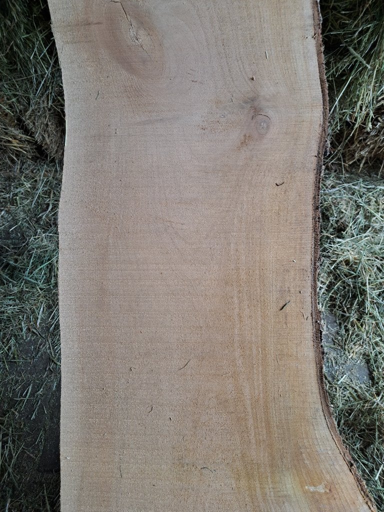 Schaaldelen kersenhout, Ophalen, Nieuw, Plank, Overige houtsoorten
