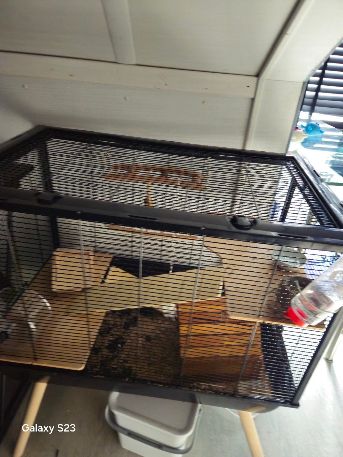 hamster en kooi grijse witte hamster, Dieren en Toebehoren, April, Hamster