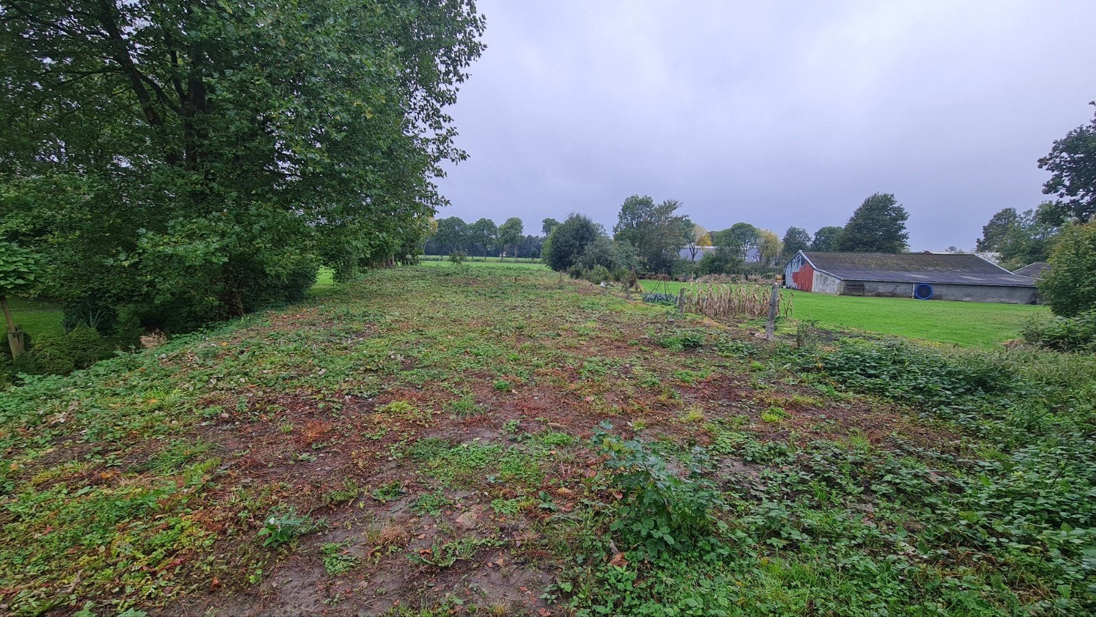 buitenterrein te huur, stalling in Groningen Heiligerlee,, Dieren en Toebehoren, Stalling