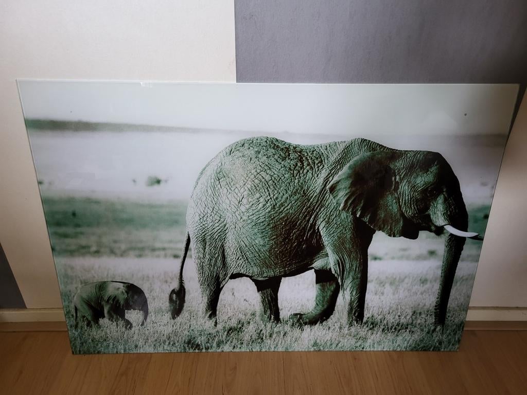 Glazen schilderij olifant met kalf, Ophalen, Gebruikt, 50 tot 75 cm, Schilderij