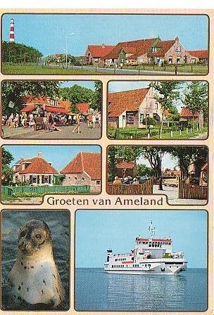 Ansichtkaart 	Ameland	7-luik	Vuurtoren	Zeehond, Verzenden, 1960 tot 1980, Gelopen, Waddeneilanden