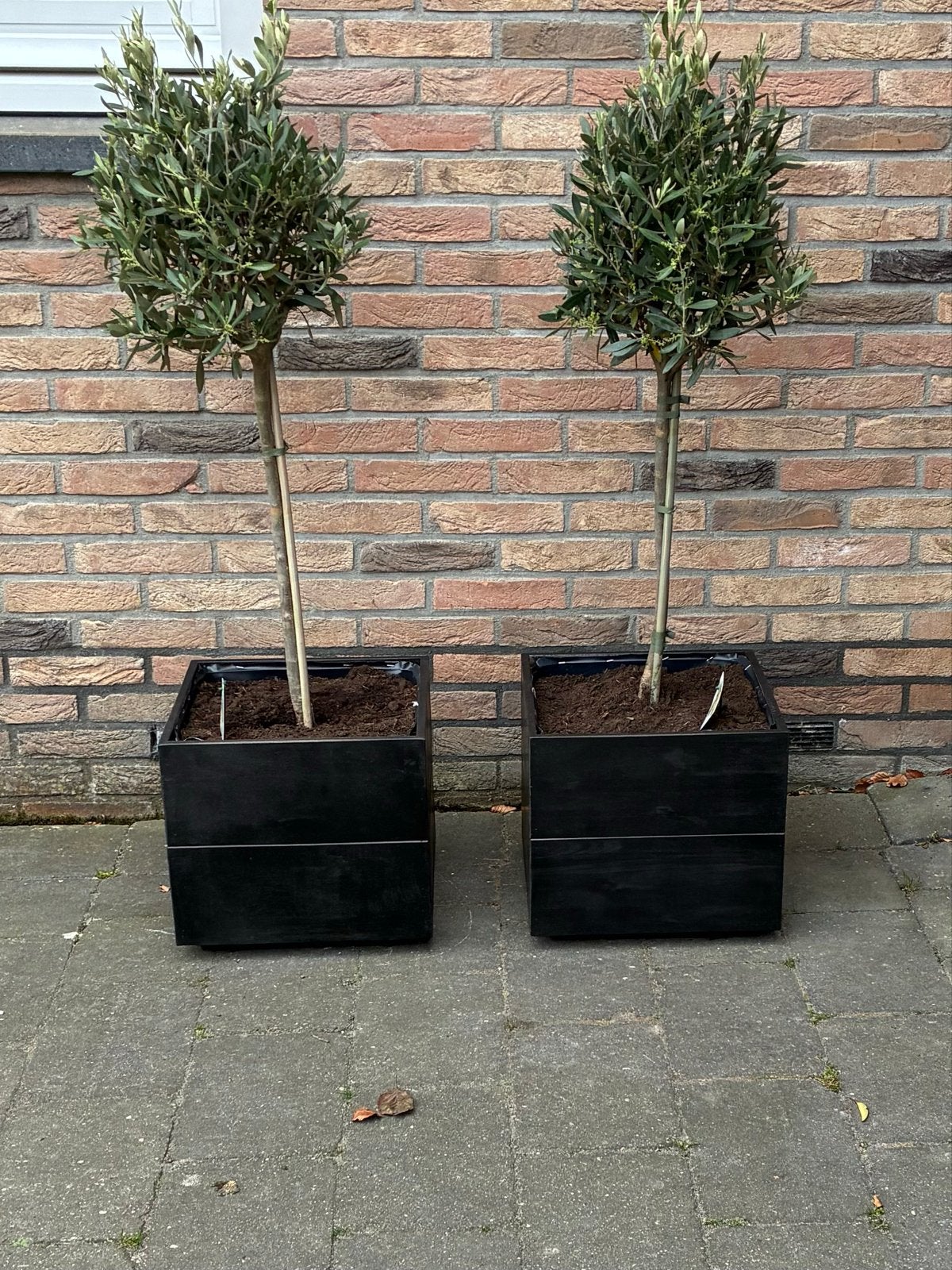 Bloempot, Tuin en Terras, Bloempotten, Overige materialen, Vierkant, Nieuw, Balkon