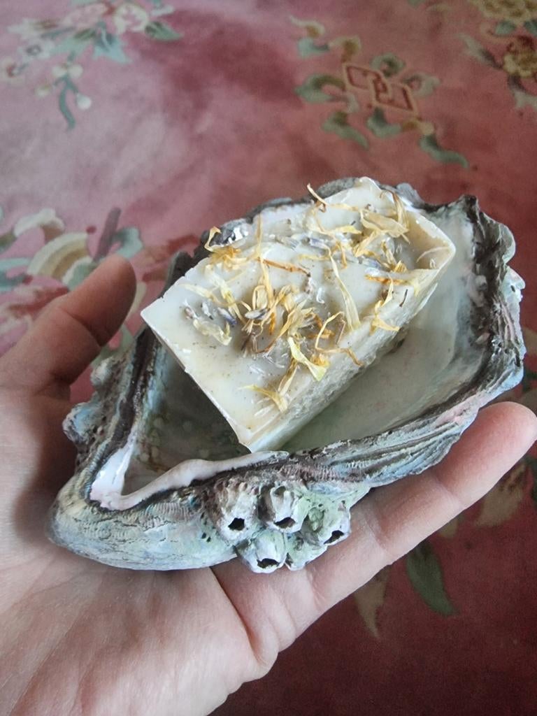 Zeepbakje keramiek schelp, Ophalen of Verzenden, Nieuw, Kleiner dan 17, Dame