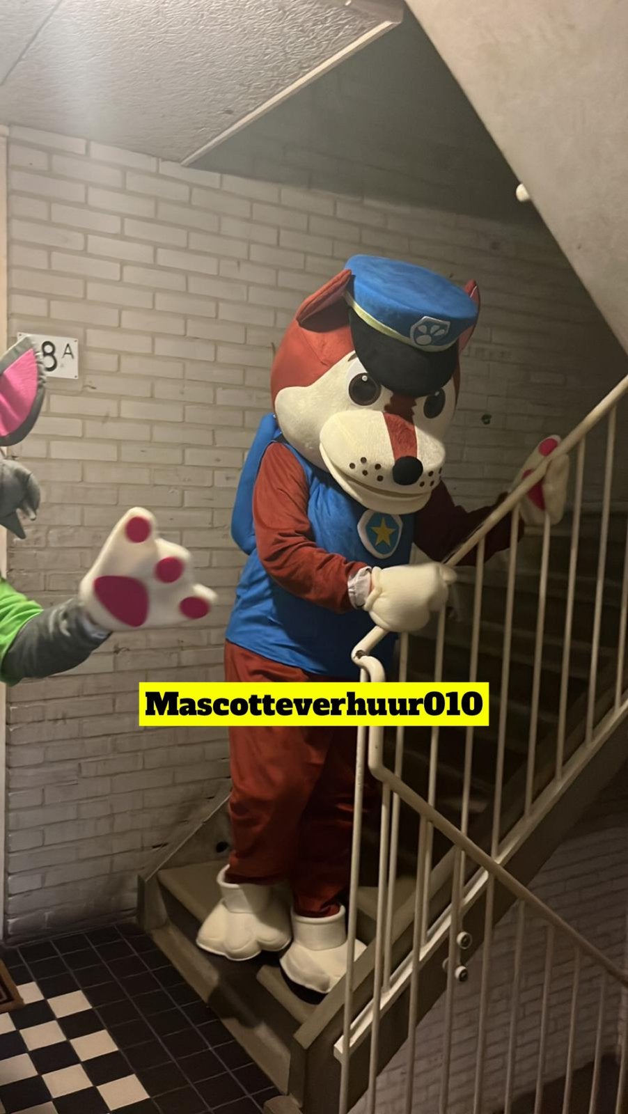 Paw Patrol Chase mascotte te huur, Ophalen, Zo goed als nieuw, Verjaardag