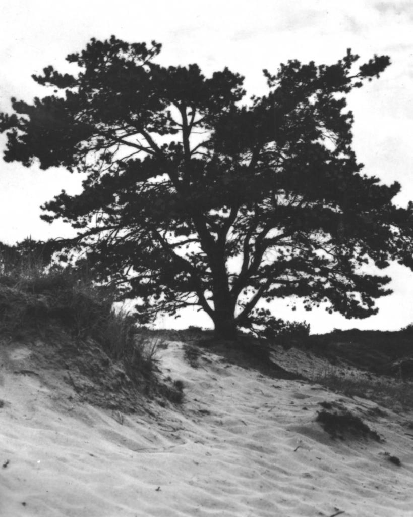 948559 Soest Utr 1953 Soesterduinen Gelopen met postzegel, Ophalen of Verzenden, 1940 tot 1960, Gelopen, Waddeneilanden