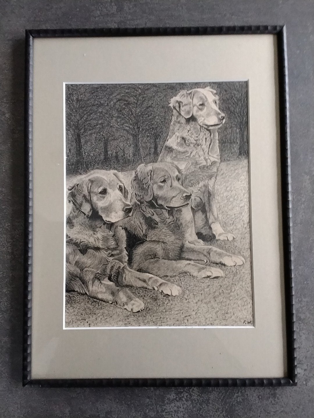 Potloodtekening Honden Golden retriever, Verzenden