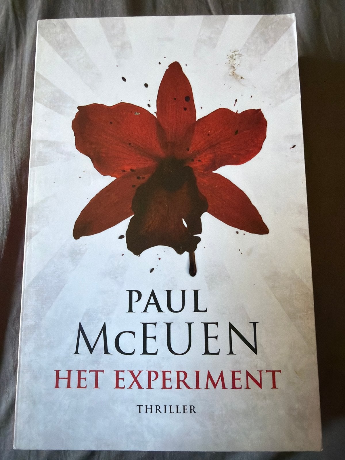 Paul MacEuen - Het experiment, Ophalen of Verzenden, Zo goed als nieuw, Paul MacEuen